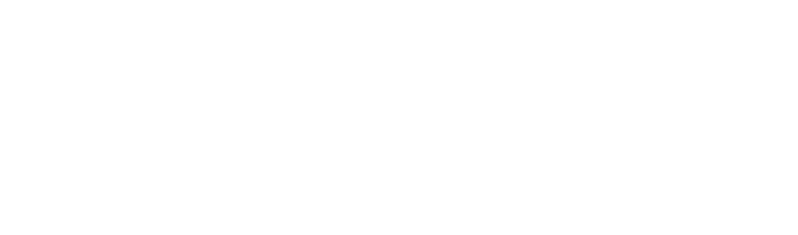 Infovelox